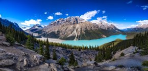 Canada, Alberta, Glaciaire, Rocheuses, promenade des Glaciers, lac Peyto, parc national Banff — Photo de stock
