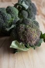 Teste di broccolo fresche — Foto stock