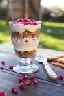 Desserts dans des verres, des graines de grenade yaourt et des spéculoos — Photo de stock