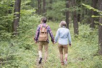 Rear view of cute senior couple walking together at park — Stock Photo