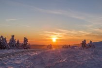 Germania, Sassonia-Anhalt, Harz National Park, Brocken, binari ferroviari della Harz Narrow Gauge Railway in inverno contro il sole serale — Foto stock
