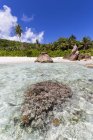 Сейшельські острови, Ла - Діг, Індійський океан, Анс - Кокос, пляж — стокове фото