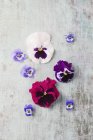 Edible pansies and violets placed on surface — Stock Photo