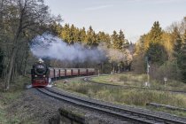 Germany, Saxony-Anhalt, Harz National Park, Harz Narrow Gauge Railway in autumn — Stock Photo