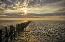 Німеччина, Dithmarschen, Friedrichskoog-тірольською, захід сонця у Північному морі tidelands — стокове фото