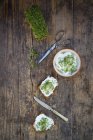 Slice of toasted  bread with organic curd and cress — Stock Photo