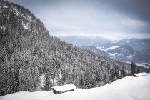 Austria, Estado de Salzburgo, Heutal, paisaje invernal - foto de stock