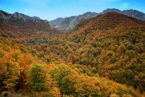Parco Naturale di Redes in autunno, Asturie, Spagna — Foto stock