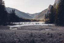 Alemania, Baviera, Berchtesgadener Land, Ramsau, Lago Hintersee, lago congelado y patinadores sobre hielo - foto de stock