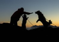 Man caring for dogs at sunset — Stock Photo