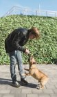 Junger Mann spielt mit französischer Bulldogge — Stockfoto