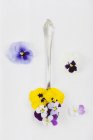 Cuchara con pantaletas comestibles y violetas en tierra blanca - foto de stock