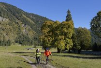 Autriche, Tyrol, Karwendel, randonneurs dans la vallée de Rohn — Photo de stock