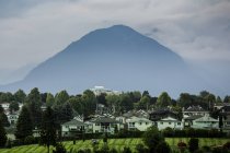 Канада, Ванкувер, горы в тумане — стоковое фото