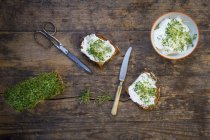 Кусочки жареного хлеба с органическим творогом и крессом — стоковое фото
