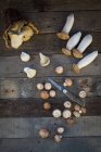Différentes sortes de champignons — Photo de stock