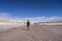 Chile, San Pedro de Atacama, Valle de la Luna, vista trasera del excursionista en el desierto - foto de stock
