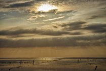 Alemanha, Dithmarschen, Friedrichskoog-Spitze, pôr do sol no mar do Norte — Fotografia de Stock
