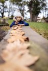 Retrato de niña jugando con hojas de otoño en el parque - foto de stock