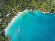 Seychelles, Praslin, Anse Lazio, beach and fishing net, aerial view — Stock Photo