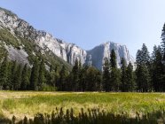 EUA, Califórnia, Parque Nacional de Yosemite, Vista diurna de El Capitan — Fotografia de Stock