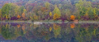 Германия, Пфулер Зее, карьерный пруд осенью, панорама — стоковое фото