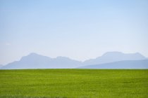 Germania, Alta Baviera, Prato verde con le Alpi sullo sfondo — Foto stock