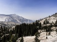 Paysage de montagne avec arbres dans le parc national de Yosemite, Californie, États-Unis — Photo de stock