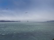 EUA, São Francisco, vista para Golden Gate Bridge no nevoeiro da ilha de Alcatraz — Fotografia de Stock