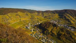 Vista das vinhas de Mayschoss durante o dia, Ahr Valley, Eifel, Renânia-Palatinado, Alemanha — Fotografia de Stock