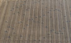 Alemania, Baja Sajonia, Hildesheim, vista aérea de fardos de paja en el campo - foto de stock