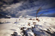 Gran Bretaña, Escocia, Rannoch Moor en invierno - foto de stock