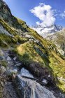 Svizzera, Cantone di Uri, Goescheneralp, Moosstock con ghiacciaio Dammastock durante il giorno — Foto stock