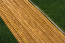 Вид с воздуха на поле с тракторными дорожками, Бавария, Германия — стоковое фото