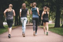 Visão traseira de quatro mulheres correndo no parque — Fotografia de Stock