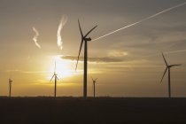 Netherlands, Zeeland, wind turbines at sunset — Stock Photo
