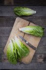 Romaine lettuce leaves and knife — Stock Photo