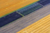 Вид с воздуха на красочные сельскохозяйственные поля в дневное время, Бавария, Германия — стоковое фото