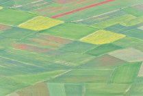 Itália, Úmbria, Parque Nacional Monti Sibillini, Vista aérea dos campos no Piano Grande de Castelluccio di Norcia durante a floração — Fotografia de Stock