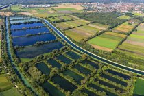 Германия, Исманинг, озеро Изат и рыбные пруды — стоковое фото