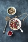 Joghurt mit Chiasamen, Granatapfelkernen und Fruchtmüsli — Stockfoto