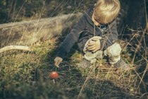 Ragazzino stuzzicando una mosca agarica nella foresta — Foto stock