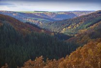 Германия, Рейнланд-Пфальц, Хунсруэк, Саар-Хунсруэк-Фаг, Фюрле — стоковое фото