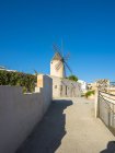 España, Mallorca, Palma, molino de viento histórico Es Jonquet en el barrio de Santa Catalina - foto de stock