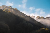 Germany, clearing up over hills with plants and trees — Stock Photo
