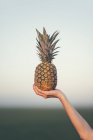 Gros plan de la main féminine tenant l'ananas — Photo de stock