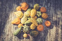 Top view of Decorative gourds on wood — Stock Photo