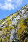 Berchtesgadener Alpen, Felswand, Bäume im Herbst auf Felsen — Stockfoto