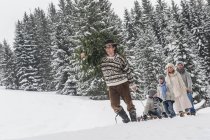 Austria, Altenmarkt-Zauchensee, man with Christmas tree and family together in winter forest — Stock Photo