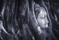 Tailândia, Ayutthaya, Wat Mahathat, cabeça de arenito Buda entre as raízes das árvores — Fotografia de Stock